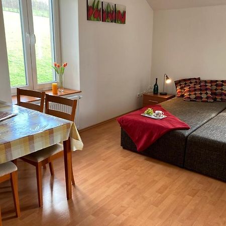 Apartmán Horský apartmán v Karlovicích  Karlovice  Exteriér fotografie